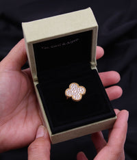 ACCESORY 323