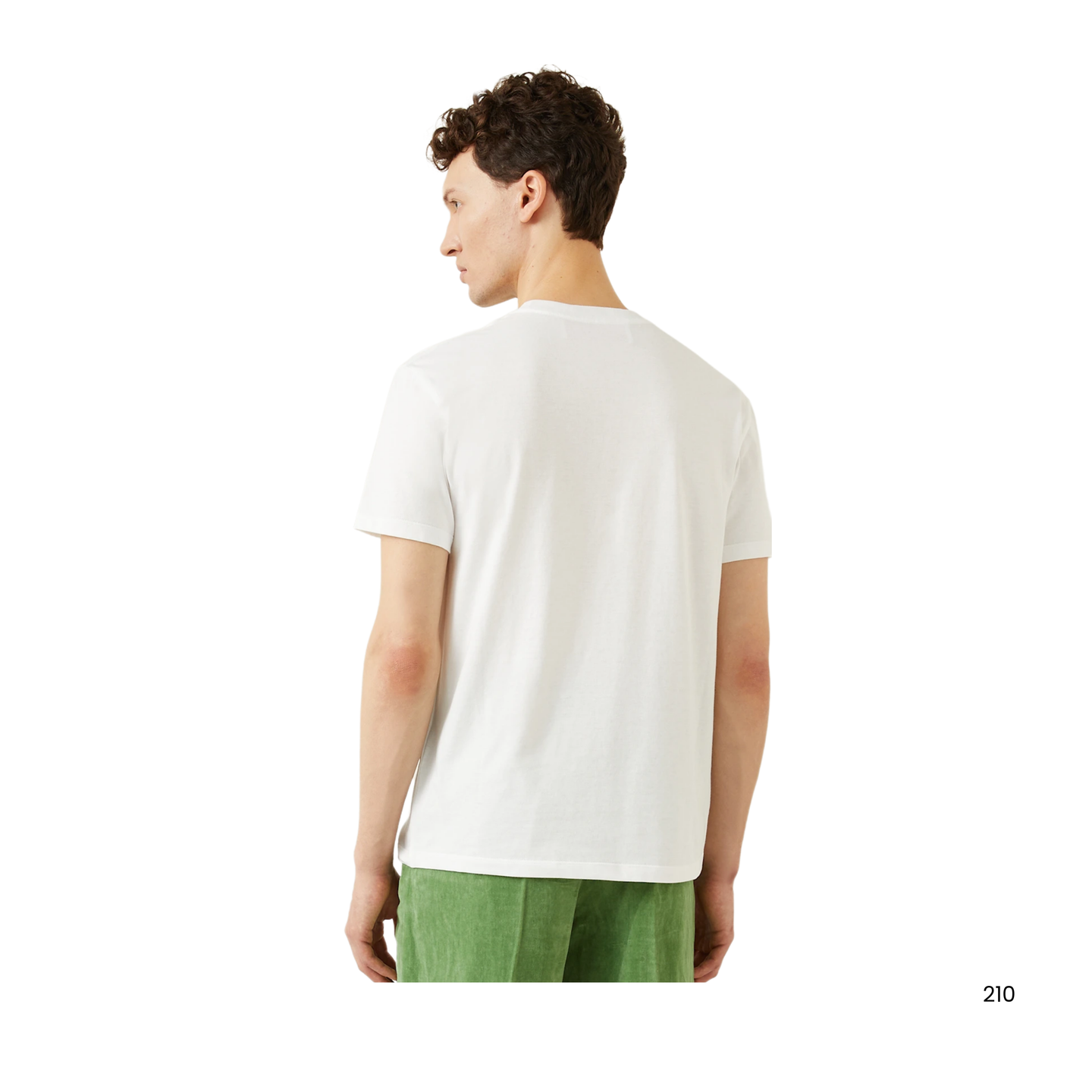 M. T-Shirts  Va 450