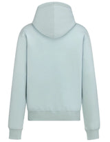 HOODIE DI 110
