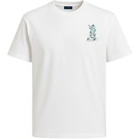 M.T-Shirts AMR 1584